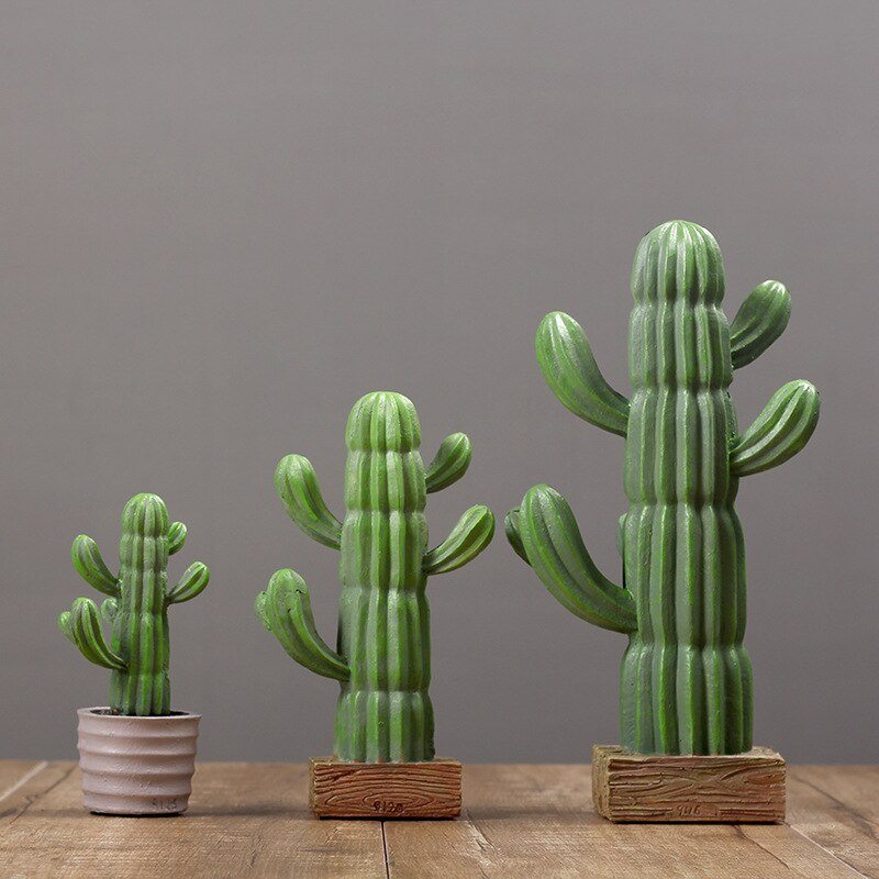 dekoracyjny kaktus