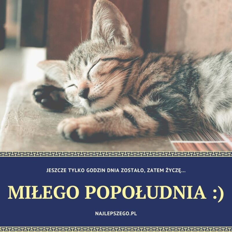 kartka z okazji popołudnia