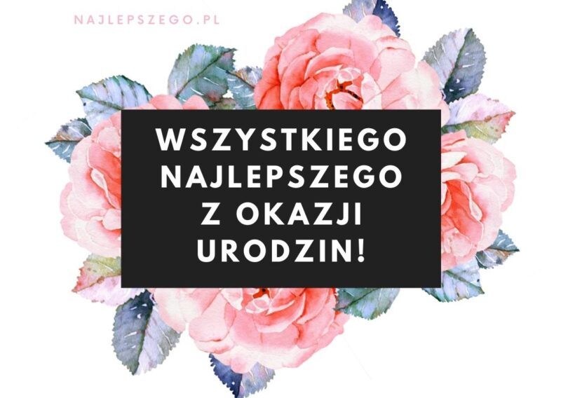 wszystkiego najlepszego z okazji urodzin kartka z życzeniami